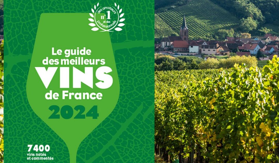 Notes Guide Vert 2024